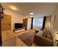 Închiriere apartament Premium, 2 camere, Cornișa, 100m de UMF - Imagine 3