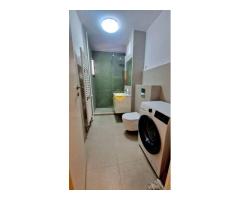 2 camere, Plopilor, Platinia, UMF, USAMV, BIG, Kaufland,Calea Manastur - Imagine 8