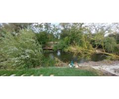 Casă cu ieșire la Lacul Snagov | Piscină și ponton | Siliștea Snagovul - Imagine 5