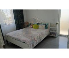 Apartament de închiriat , 2 camere, pet-friendly,loc de parcare,Giroc