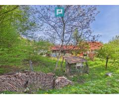 Casă Câmpani, 8000 mp teren, la poalele Apusenilor - Imagine 5