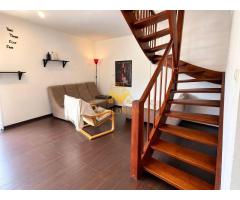 3 camere, Zorilor, Golden Tulip,Frunzisului, UTCN,USAMV, Pet Friendly
