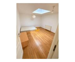 3 camere, Zorilor, Golden Tulip,Frunzisului, UTCN,USAMV, Pet Friendly - Imagine 4