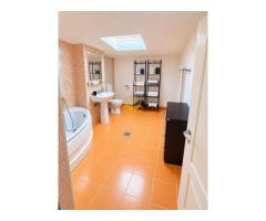 3 camere, Zorilor, Golden Tulip,Frunzisului, UTCN,USAMV, Pet Friendly - Imagine 7