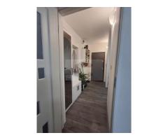 Apartament cu 2 camere , renovat , situat în zona Iosefin - Imagine 9