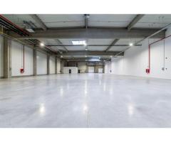 4646 mp - Hala industriala de închiriat în Parc Industrial Arad - Imagine 3