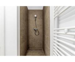 1202 mp - Hala industriala de inchiriat in Parc Industrial Arad - Imagine 7