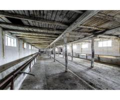 Fermă Mândruloc 2,5 ha - Imagine 2