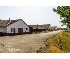 Fermă Mândruloc 2,5 ha - Imagine 3
