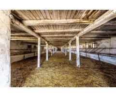 Fermă Mândruloc 2,5 ha - Imagine 4