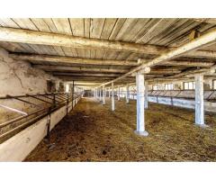 Fermă Mândruloc 2,5 ha - Imagine 5