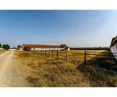 Fermă Mândruloc 2,5 ha - Imagine 6