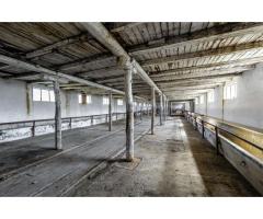 Fermă Mândruloc 2,5 ha - Imagine 9