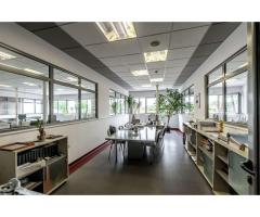 Oportunitate: Hală de producție și depozitare cu birouri în Arad - Imagine 9