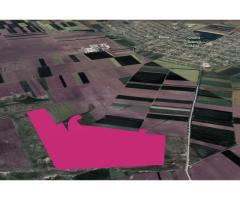 Teren 42 ha pentru parc fotovoltaic – Macea, Arad