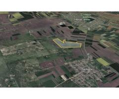 Teren 42 ha pentru parc fotovoltaic – Macea, Arad - Imagine 3