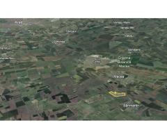 Teren 42 ha pentru parc fotovoltaic – Macea, Arad - Imagine 4