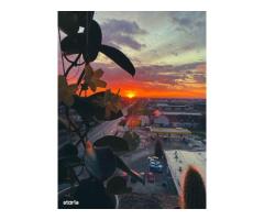 BRASADAS vinde ap 4 cam Micro 16 etaj 8/8. - Imagine 8