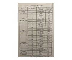 BRASADAS vinde casa individuala in zona Carpati - Imagine 3