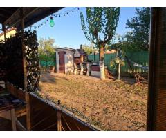 BRASADAS vinde casa individuala 2 cam Viile Satu Mare. - Imagine 2