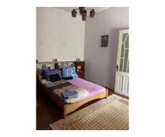 Casa de vanzare in Satu Mare, Str Zutphen. - Imagine 6