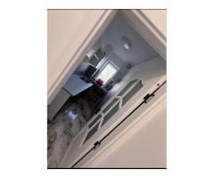 BRASADAS vinde ap 2 cam RENOVAT etaj 4/4 Humulești. - Imagine 5