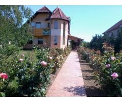 Casă 2 familii / firmă + livadă Satu Mare - Cionchești