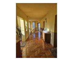 Casă 2 familii / firmă + livadă Satu Mare - Cionchești - Imagine 5