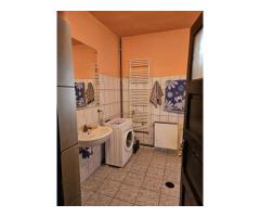 Casă 2 familii / firmă + livadă Satu Mare - Cionchești - Imagine 6