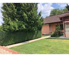 BRASADAS vinde casa cu 7 camere si teren 1100mp in zona Burdea. - Imagine 12