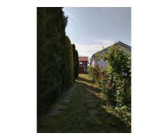 BRASADAS vinde casa cu gradina si garaj. - Imagine 2