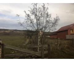 Parcela 7600 m2 Valea Fanatelor - Imagine 4