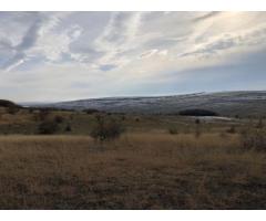 Parcela 7600 m2 Valea Fanatelor - Imagine 8