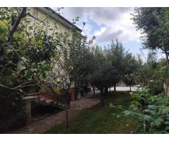 Zonă deosebită, oportunitate de investiție casă individuala in Gruia - Imagine 6