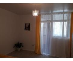 Garsoniera de vanzare in Manastur, str. Bucegi, complex BIG - Imagine 3