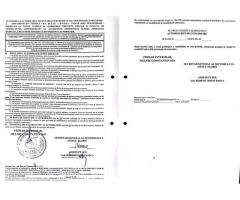 BRASADAS vinde teren INTRAVILAN zona GIURGIULUI 2444MP cu AUTORIZATIE - Imagine 3