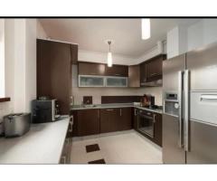 Apartament Duplex 5 camere Herastrau - Imagine 4