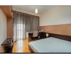 Apartament Duplex 5 camere Herastrau - Imagine 12