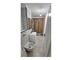 Inchiriez garsoniera nemobilata, Unirii, Goga, langa Camera de Comert, Inalta Cu - Imagine 4