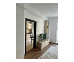 Parcul Carol, mobilat/utilat complet, posibilitate loc parcare subteran - Imagine 7