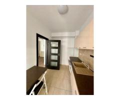 Parcul Carol, mobilat/utilat complet, posibilitate loc parcare subteran - Imagine 8