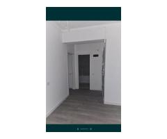 Proprietate REBS #2573090 - Imagine 7