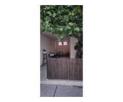 BRASADAS vinde casa tip S+P+M - zona Shopping City SM - Imagine 5
