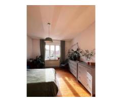 BRASADAS vinde Ap 2 cam 77mp Parter Parcul Feroviarilor - Imagine 2