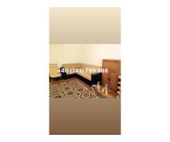 Inchiriere 2 camere Ferdinand-Iancului-Obor - Imagine 3