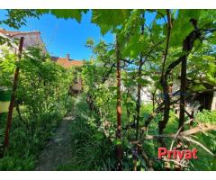 Casă cu grădină str.Anton Pann/486mp/3 front/spațiu com./155.000€neg. - Imagine 2