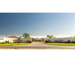 2 parcele alăturate | 823 mp | Westfield Arad - Imagine 4
