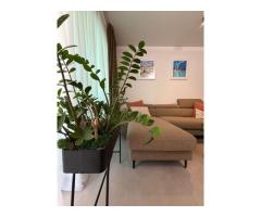 Apartament modern de vânzare The Fold – Tăietura Turcului, Cluj-Napoca - Imagine 4