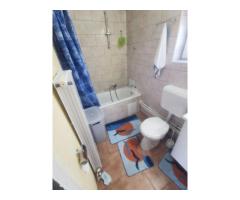 vand casa Satu Mare str spicului 3 cam placa de beton - Imagine 2