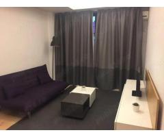 Apartament 2 camere zona Herastrau - Imagine 3